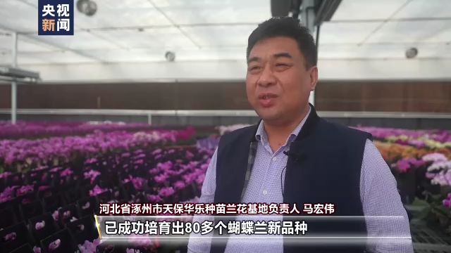 年味儿越来越浓 各地乡村抓住假日经济好时机