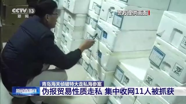 涉案超2亿元！特大走私海参案，侦破！作案手段曝光